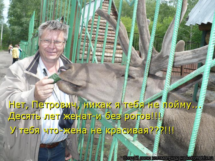 Нет, Петрович, никак я тебя не пойму... Десять лет женат-и без рогов!!! У тебя что-жена не красивая??... Котоматрица: Нет, Петрович, никак я тебя не пойму... Десять лет женат-и без рогов!!! У тебя что-жена не красивая???!!!