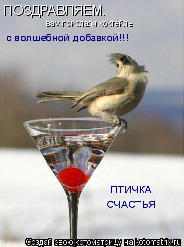 ПОЗДРАВЛЯЕМ. вам прислали коктейль с волшебной добавкой!!! ПТИЧКА СЧАСТЬЯ... Котоматрица: ПОЗДРАВЛЯЕМ. вам прислали коктейль с волшебной добавкой!!! ПТИЧКА СЧАСТЬЯ