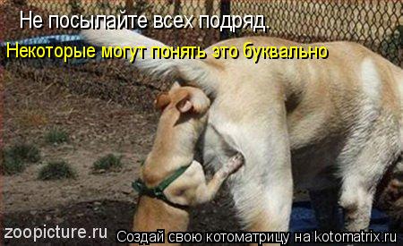 Котоматрица: Не посылайте всех подряд. Некоторые могут понять это буквально