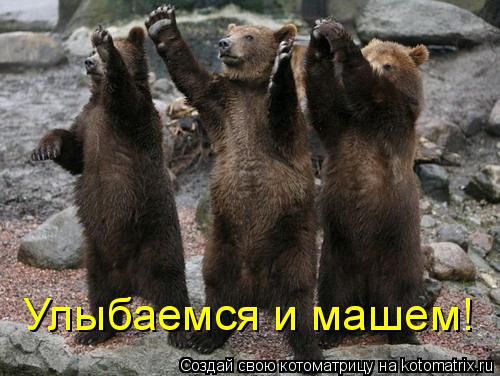 Котоматрица: Улыбаемся и машем!