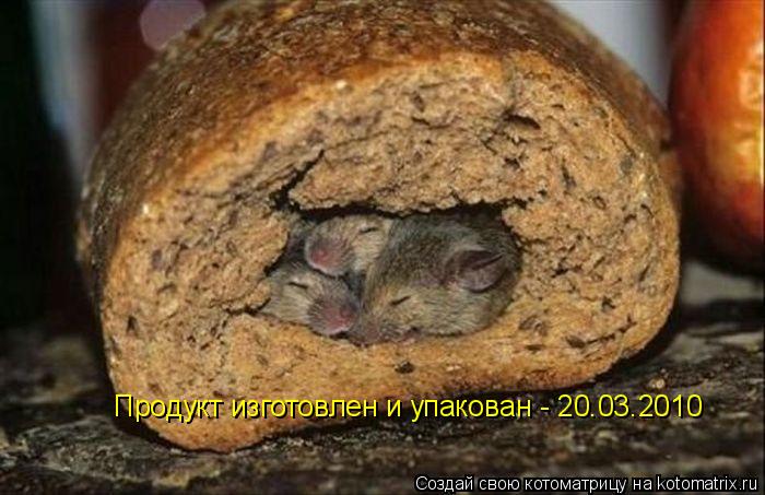 Котоматрица: Продукт изготовлен и упакован - 20.03.2010