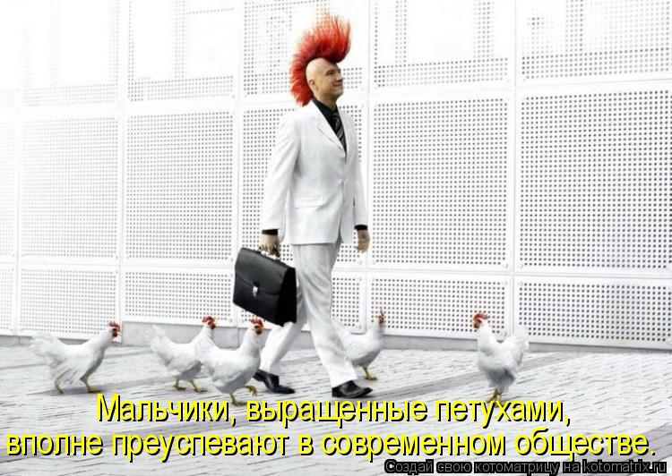 Котоматрица: вполне преуспевают в современном обществе. Мальчики, выращенные петухами,