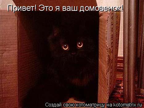 Котоматрица: Привет! Это я ваш домовенок!