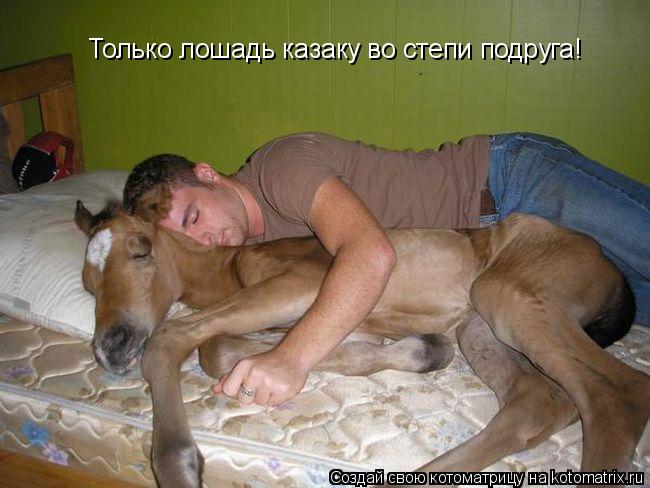 Котоматрица: Только лошадь казаку во степи подруга!