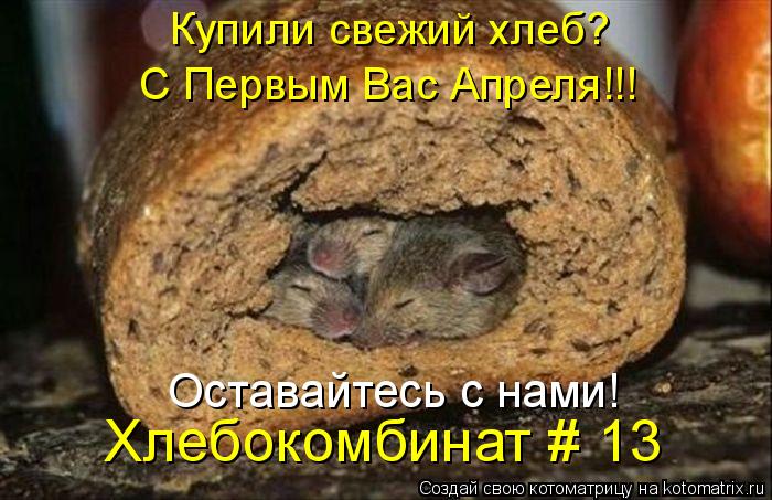 Купили свежий хлеб? С Первым Вас Апреля!!! Хлебокомбинат # 13 Оставайтесь с нами!... Котоматрица: Купили свежий хлеб? С Первым Вас Апреля!!! Хлебокомбинат # 13 Оставайтесь с нами!