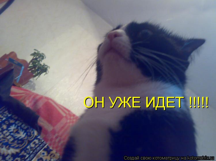 ОН УЖЕ ИДЕТ !!!!!... Котоматрица: ОН УЖЕ ИДЕТ !!!!!