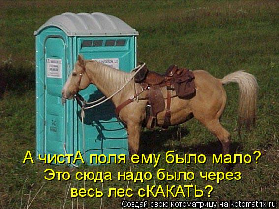 А чистА поля ему было мало? Это сюда надо было через весь лес сКАКАТЬ?... Котоматрица: А чистА поля ему было мало? Это сюда надо было через весь лес сКАКАТЬ?