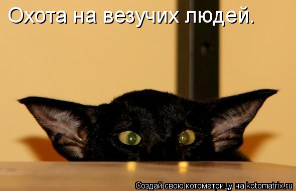 Охота на везучих людей.... Котоматрица: Охота на везучих людей.