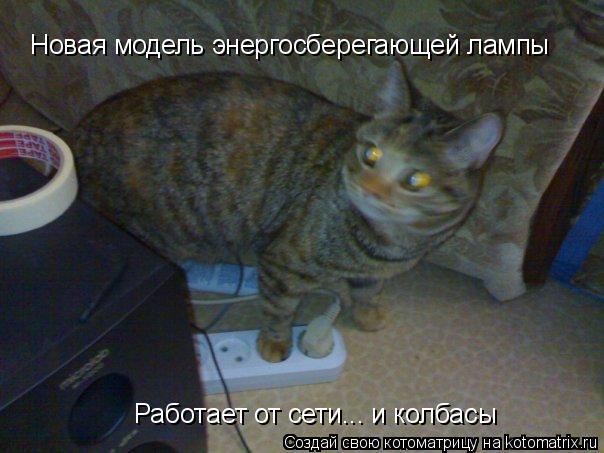 Новая модель энергосберегающей лампы Работает от сети... и колбасы... Котоматрица: Новая модель энергосберегающей лампы Работает от сети... и колбасы