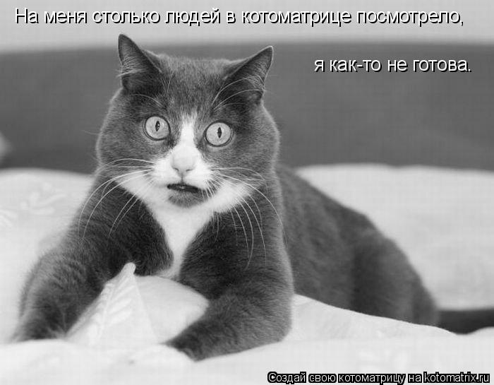 я как-то не готова. На меня столько людей в котоматрице посмотрело,... Котоматрица: я как-то не готова. На меня столько людей в котоматрице посмотрело,