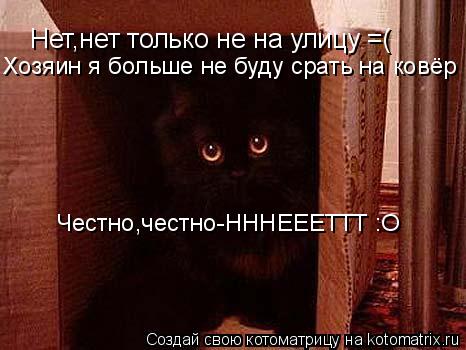 Нет,нет только не на улицу =( Хозяин я больше не буду срать на ковёр Честно,честно-НННЕЕЕТТТ :O... Котоматрица: Нет,нет только не на улицу =( Хозяин я больше не буду срать на ковёр Честно,честно-НННЕЕЕТТТ :O