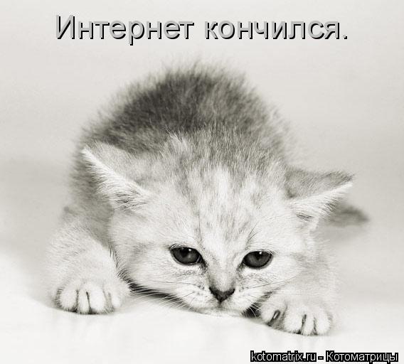 Интернет кончился.... Котоматрица: Интернет кончился.