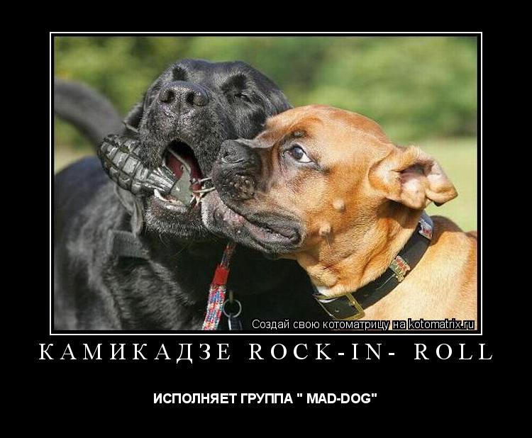 камикадзе rock-in- roll ИСПОЛНЯЕТ ГРУППА " MAD-DOG"... Котоматрица: камикадзе rock-in- roll ИСПОЛНЯЕТ ГРУППА " MAD-DOG"