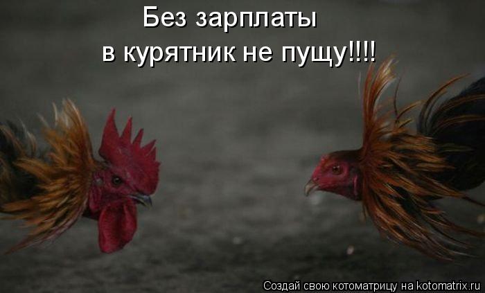 Котоматрица: Без зарплаты в курятник не пущу!!!!
