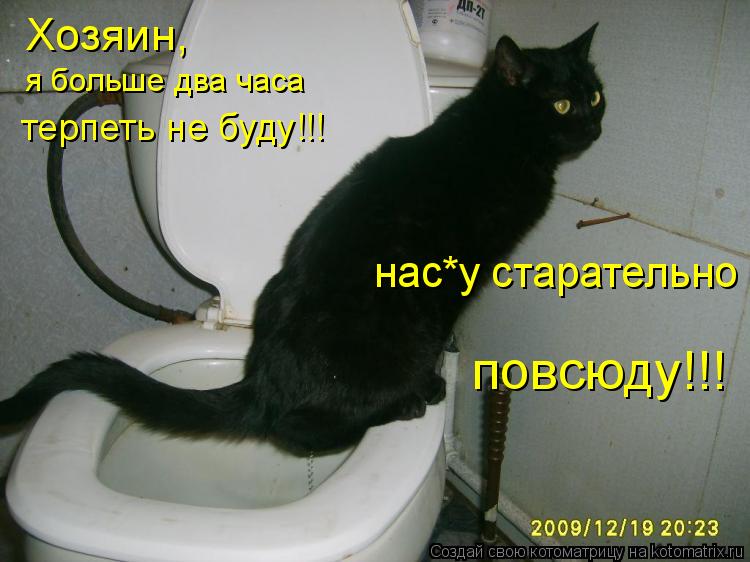 Котоматрица: Хозяин,  нас*у старательно повсюду!!! я больше два часа терпеть не буду!!!