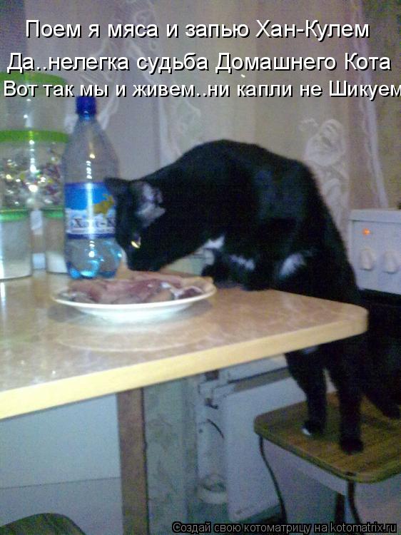 Котоматрица: Поем я мяса и запью Хан-кулем Поем я мяса и запью Хан-Кулем Да нелегка судьба Домашнего Кота Да..нелегка судьба Домашнего Кота Вот так мы и жи