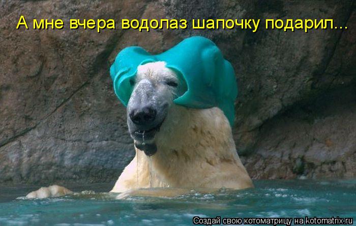 А мне вчера водолаз шапочку подарил...... Котоматрица: А мне вчера водолаз шапочку подарил...