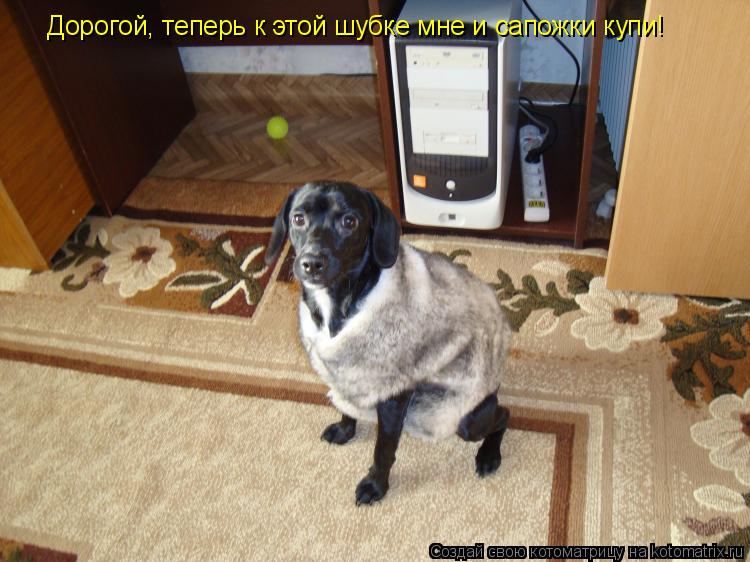 Дорогой, теперь к этой шубке мне и сапожки купи!... Котоматрица: Дорогой, теперь к этой шубке мне и сапожки купи!