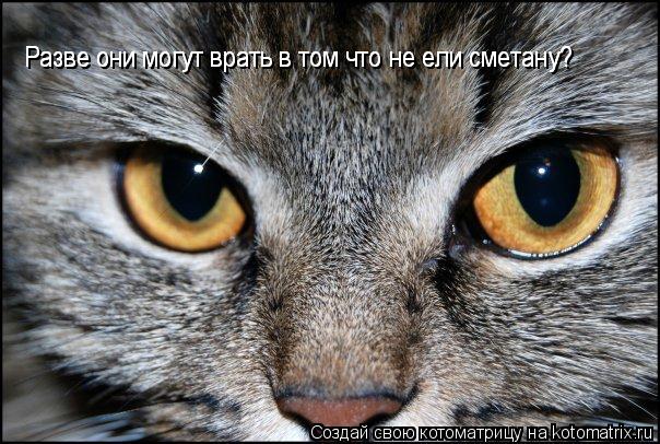 Разве они могут врать в том что не ели сметану? Разве они могут врать в том что не ели сметану?... Котоматрица: Разве они могут врать в том что не ели сметану? Разве они могут врать в том что не ели сметану?