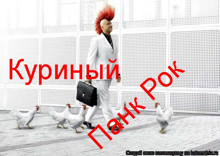 Куриный Панк Рок... Котоматрица: Куриный Панк Рок