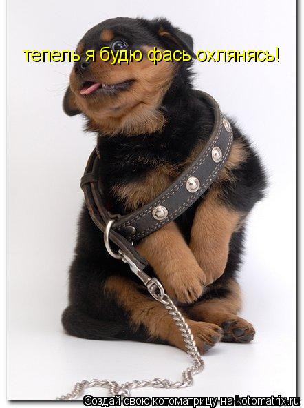 тепель я будю фась охлянясь!... Котоматрица: тепель я будю фась охлянясь!