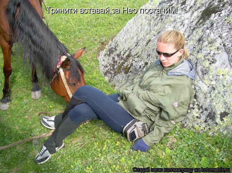 Тринити вставай,за Нео поскачим!... Котоматрица: Тринити вставай,за Нео поскачим!