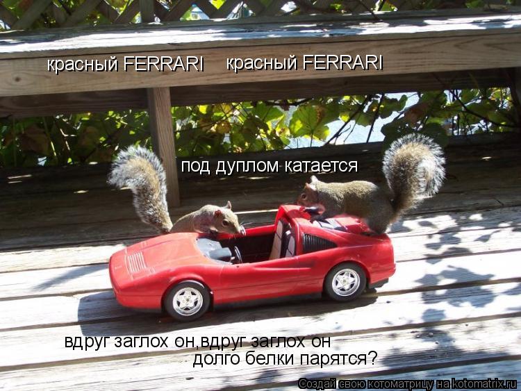 красный FERRARI красный FERRARI под дуплом катается вдруг заглох он,вдруг заглох он долго белки пар... Котоматрица: красный FERRARI красный FERRARI под дуплом катается вдруг заглох он,вдруг заглох он долго белки парятся?