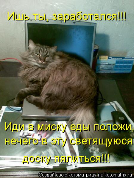 Котоматрица: Ишь ты, заработался!!! Иди в миску еды положи, нечего в эту светящуюся  доску пялиться!!!