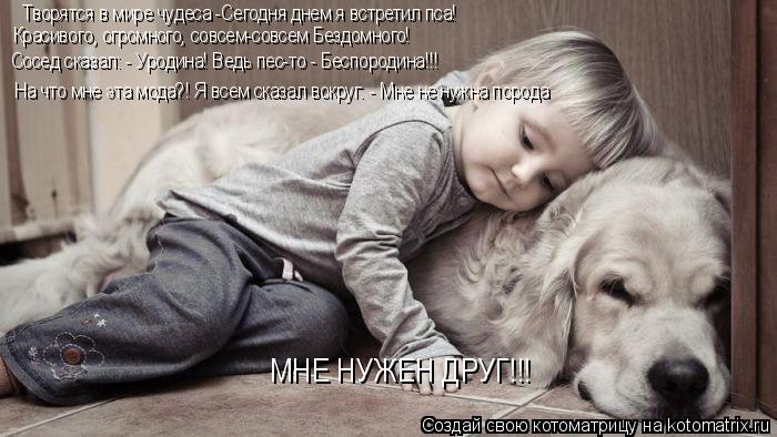 Котоматрица: Творятся в мире чудеса -Сегодня днем я встретил пса!  Красивого, огромного, совсем-совсем Бездомного!  Сосед сказал: - Уродина! Ведь пес-то - Бе