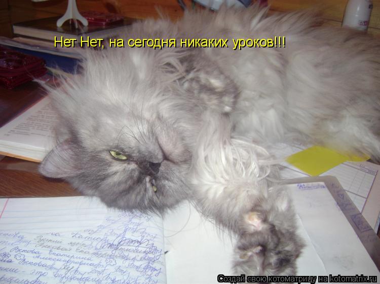 Котоматрица: Нет Нет, на сегодня никаких уроков!!!