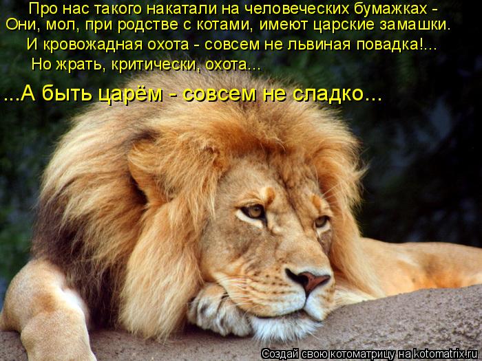 Про нас такого накатали на человеческих бумажках - Они, мол, при родстве с котами, имеют царские зама... Котоматрица: Про нас такого накатали на человеческих бумажках - Они, мол, при родстве с котами, имеют царские замашки. И кровожадная охота - совсем не льв