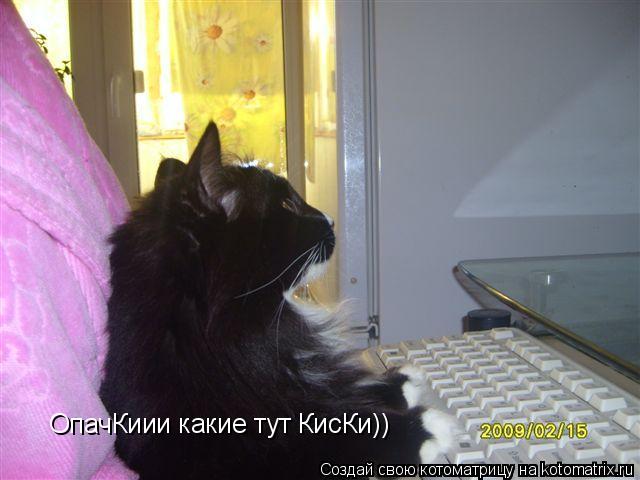 Котоматрица: ОпачКиии какие тут КисКи))