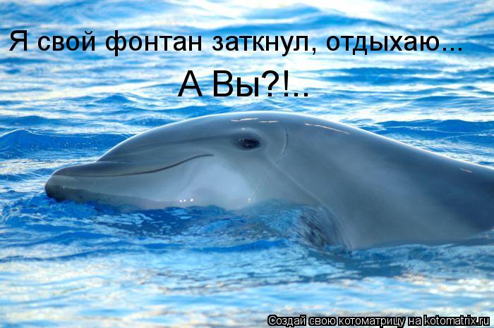 Котоматрица: Я свой фонтан заткнул, отдыхаю... А Вы?!..
