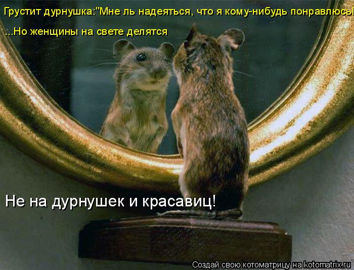 Котоматрица: Грустит дурнушка:"Мне ль надеяться, что я кому-нибудь понравлюсь!"  ...Но женщины на свете делятся  Не на дурнушек и красавиц!
