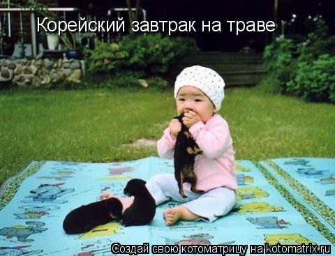 Котоматрица: Корейский завтрак на траве