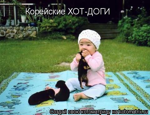 Котоматрица: Корейские ХОТ-ДОГИ