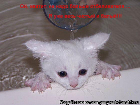 Котоматрица: Ой, хватит, не надо больше отбеливателя.... Я уже весь чистый и белый!!!