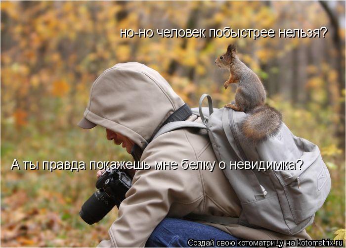 Котоматрица: но-но человек побыстрее нельзя? но-но человек побыстрее нельзя? А ты правда покажешь мне белку о невидимка? А ты правда покажешь мне белку о 