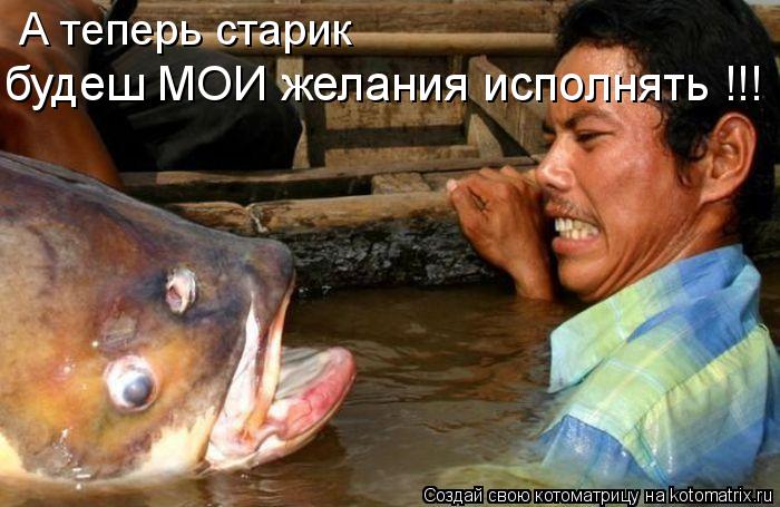 Котоматрица: А теперь старик будеш МОИ желания исполнять !!!