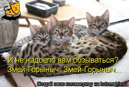 Котоматрица: - И не надоело вам обзываться? Змей-Горыныч, Змей-Горыныч...