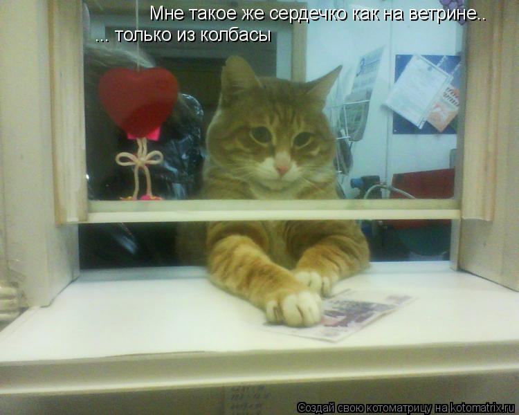Котоматрица: Мне такое же сердечко как на ветрине..  ... только из колбасы