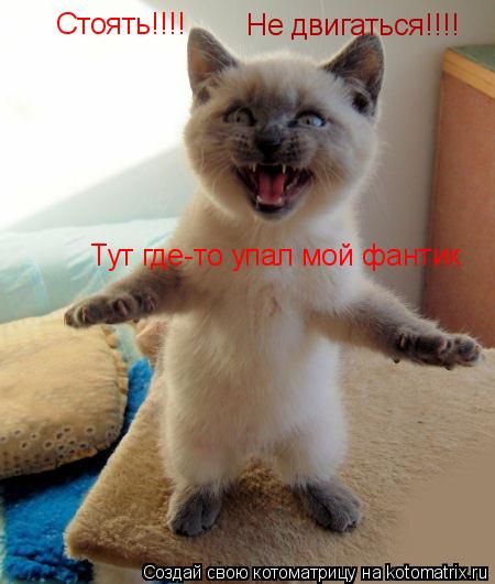 Котоматрица: Стоять!!!! Тут где-то упал мой фантик Не двигаться!!!!