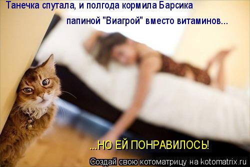Котоматрица: Танечка спутала, и полгода кормила Барсика  папиной "Виагрой" вместо витаминов... ...НО ЕЙ ПОНРАВИЛОСЬ!