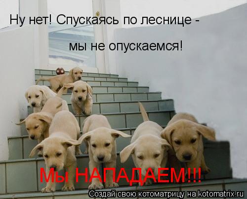 Котоматрица: Ну нет! Спускаясь по леснице -  мы не опускаемся! Мы НАПАДАЕМ!!!