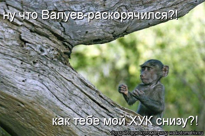 ну что Валуев-раскорячился?! как тебе мой ХУК снизу?!... Котоматрица: ну что Валуев-раскорячился?! как тебе мой ХУК снизу?!