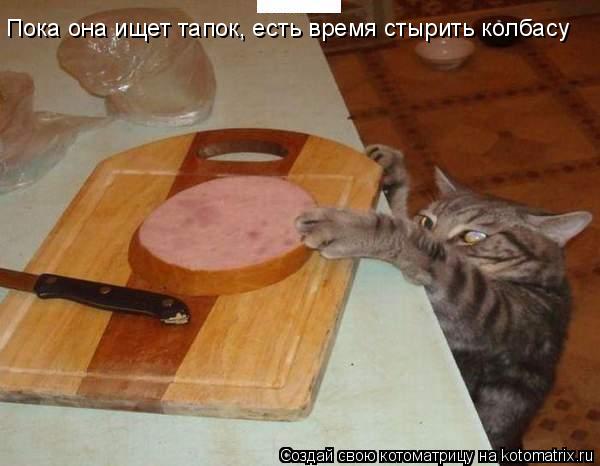 Котоматрица: Пока она ищет тапок, есть время стырить колбасу