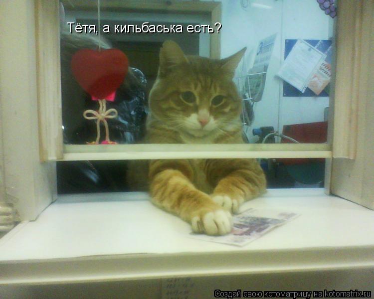 Котоматрица: Тётя, а кильбаська есть?
