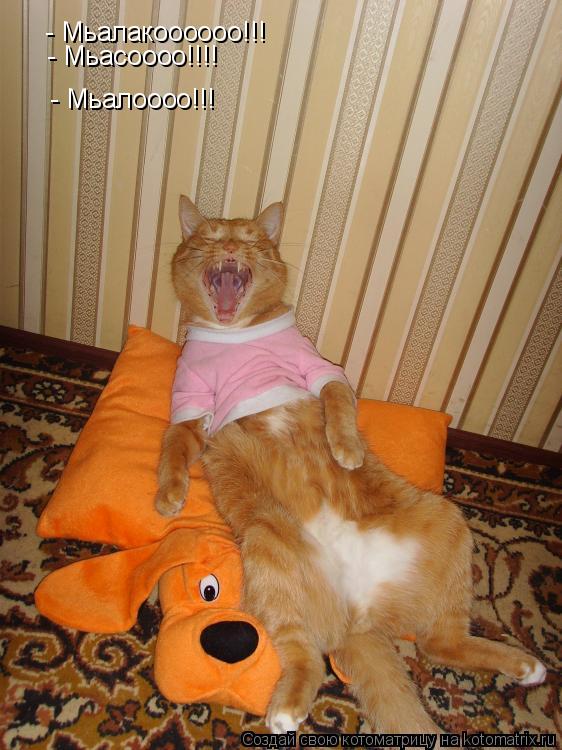 Котоматрица: - Мьалакоооооо!!! - Мьасоооо!!!! - Мьалоооо!!!