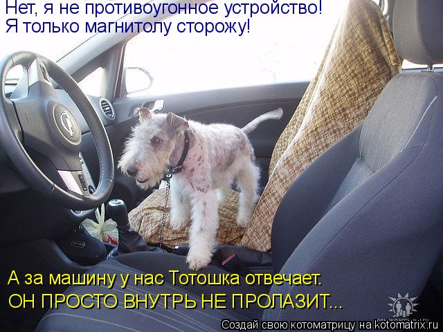 Котоматрица: Нет, я не противоугонное устройство! Я только магнитолу сторожу! А за машину у нас Тотошка отвечает. ОН ПРОСТО ВНУТРЬ НЕ ПРОЛАЗИТ...