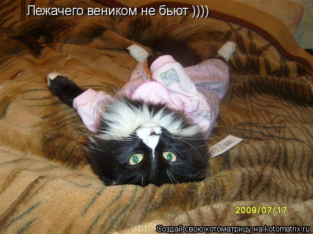 Котоматрица: Лежачего веником не бьют ))))